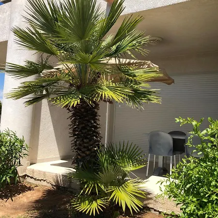 Apartment Centre A Pieds, Studio-cabine 4 Pers Max Porticcio (Corsica)